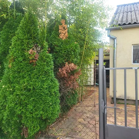 Zoeldlak Kovagotottos