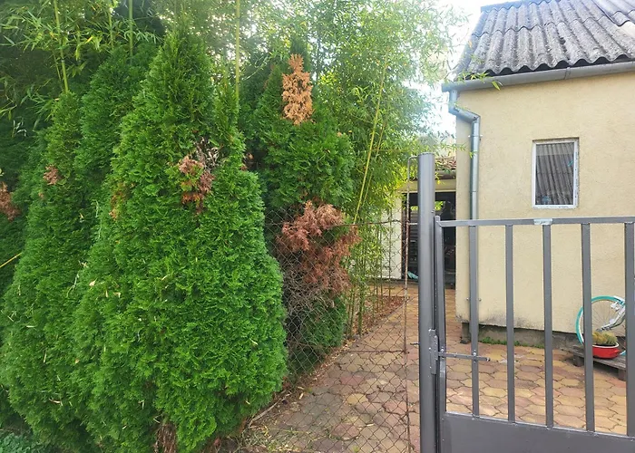 Zoeldlak Kovagotottos